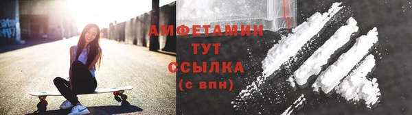 прущие грибы Алексеевка