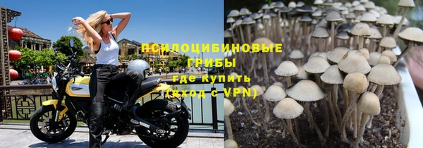 экстази Алзамай